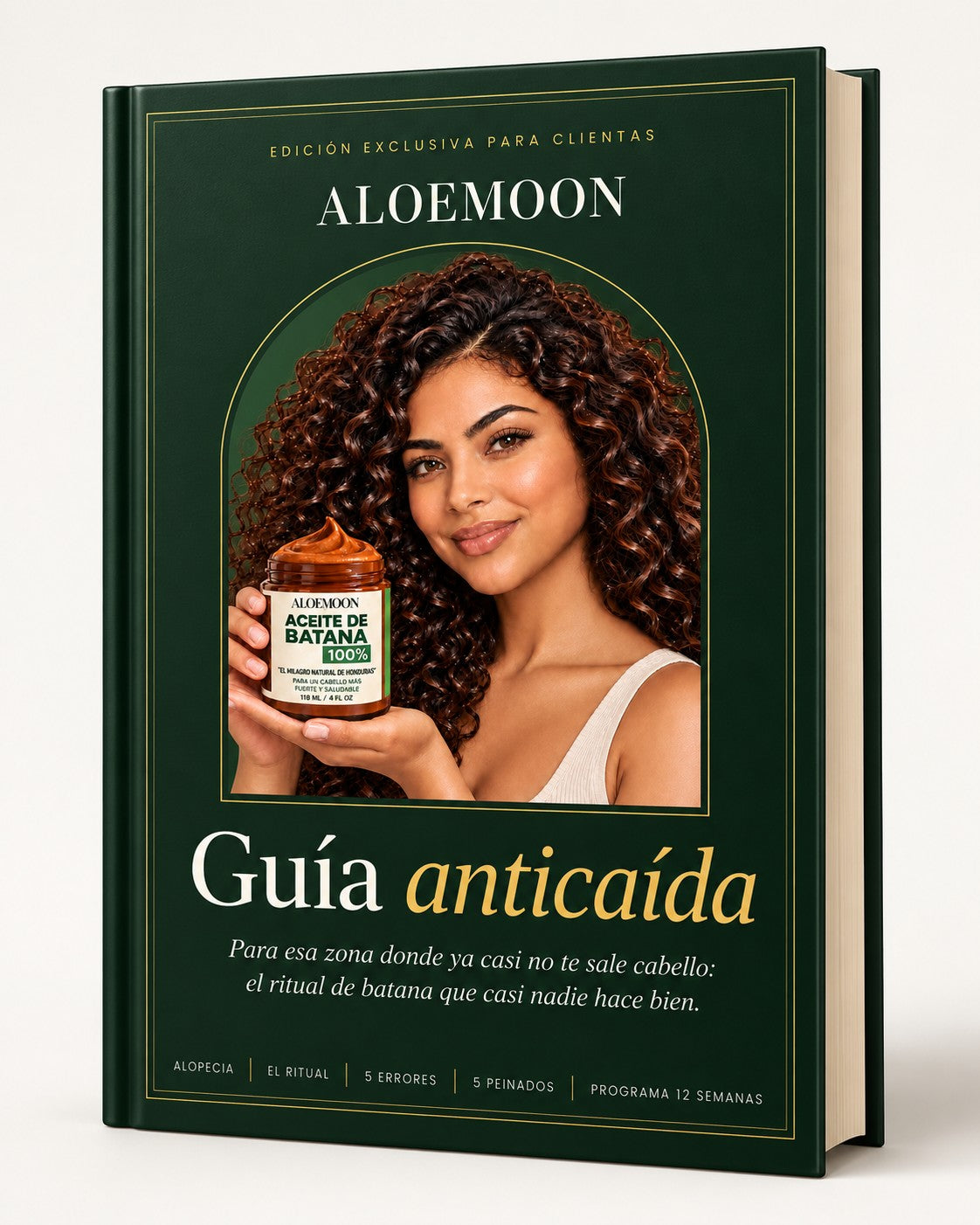 Guía Anticaída (PDF)